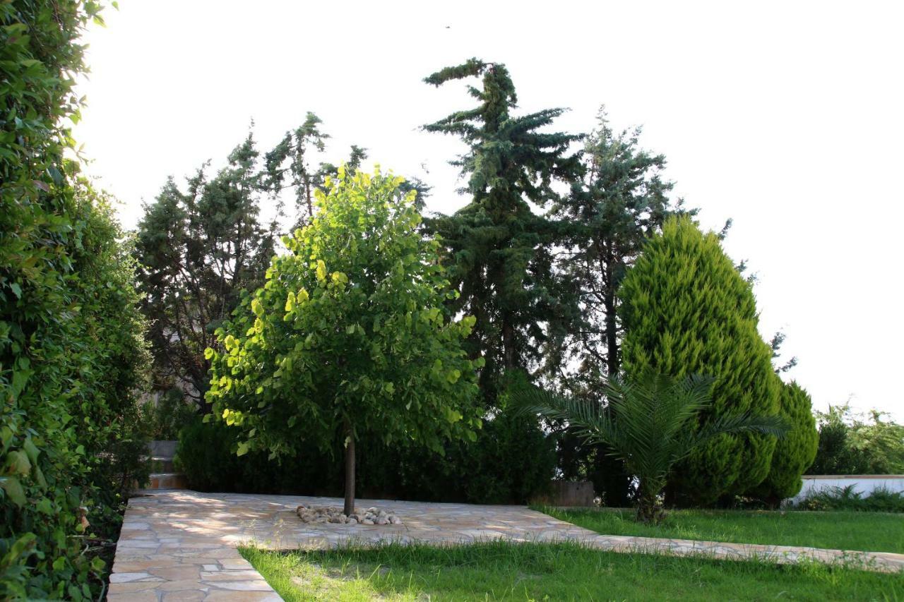 S&S Pura Vida Apartment Paliouri Zewnętrze zdjęcie